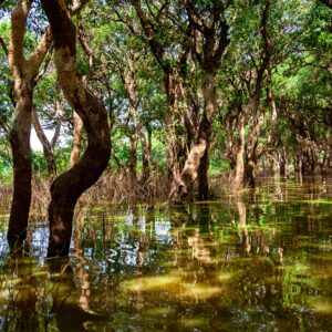 Wetlands, Rivers, and Oceans Conservation Program